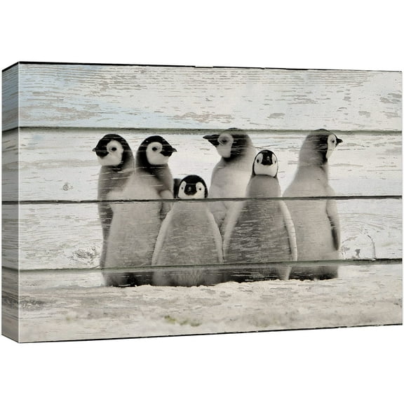 wall26 Canvas Print Wall Art Little Arctic Penguins in Snow Animals Wildlife Wood Panels Photography Rustic Scenic Colorful Multicolor Cool Zen for Living Room, Bedroom, Office - 12"x18"
