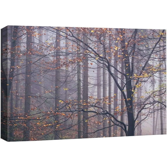 wall26 Canvas Print Wall Art Misty Autumn Forest & Trees with Yellow Leaves Nature Wilderness Photography Modern Art Rustic Scenic Colorful Multicolor for Living Room, Bedroom, Office - 24"x