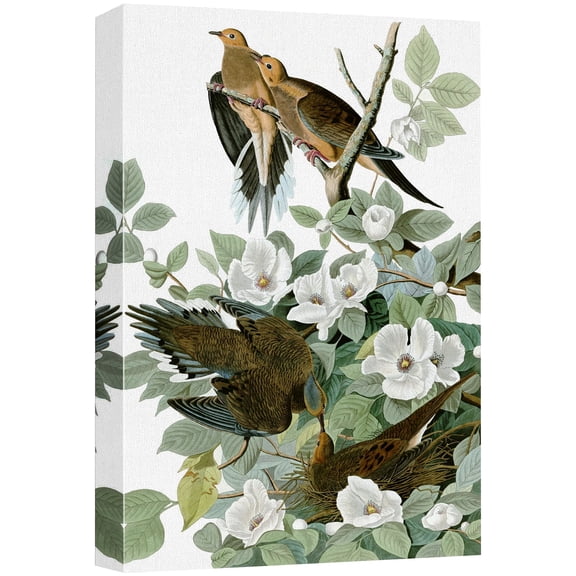 wall26 Canvas Print Wall Art Mourning Doves by John James Audubon Animals Birds Illustrations Modern Art Rustic Scenic Relax/Calm Multicolor Warm for Living Room, Bedroom, Office - 16"x24"