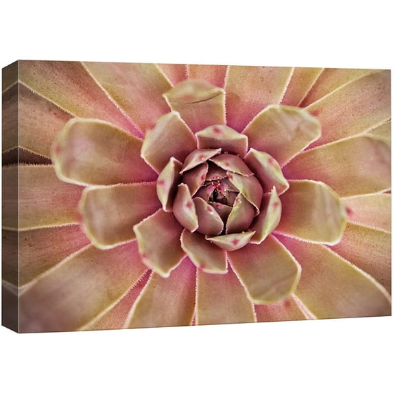 wall26 Canvas Print Wall Art Neon Pink Yellow Desert Aloe Succulent Nature Floral Photography Realism Botanical Wilderness Zen Rustic Colorful Decorative for Living Room, Bedroom, Office - 12"x1