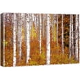 thumbnail image 1 of wall26 Canvas Print Wall Art Paint Stroke Birch Trees with Brown Leaves Nature Wilderness Illustrations Modern Art Rustic Scenic Colorful Multicolor for Living Room, Bedroom, Office - 12"x18&quo, 1 of 5