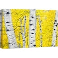 thumbnail image 1 of wall26 Canvas Print Wall Art Paint Stroke Birch Trees with Yellow Leaves Nature Wilderness Illustrations Modern Art Rustic Scenic Colorful Multicolor for Living Room, Bedroom, Office - 12"x18&qu, 1 of 5
