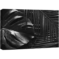 wall26 Canvas Print Wall Art Palm & Monstera Leaves with Raindrops Floral Nature Photography Minimalism Tropical Scenic Relax/Calm Black and White for Living Room, Bedroom, Office - 16"x24&q