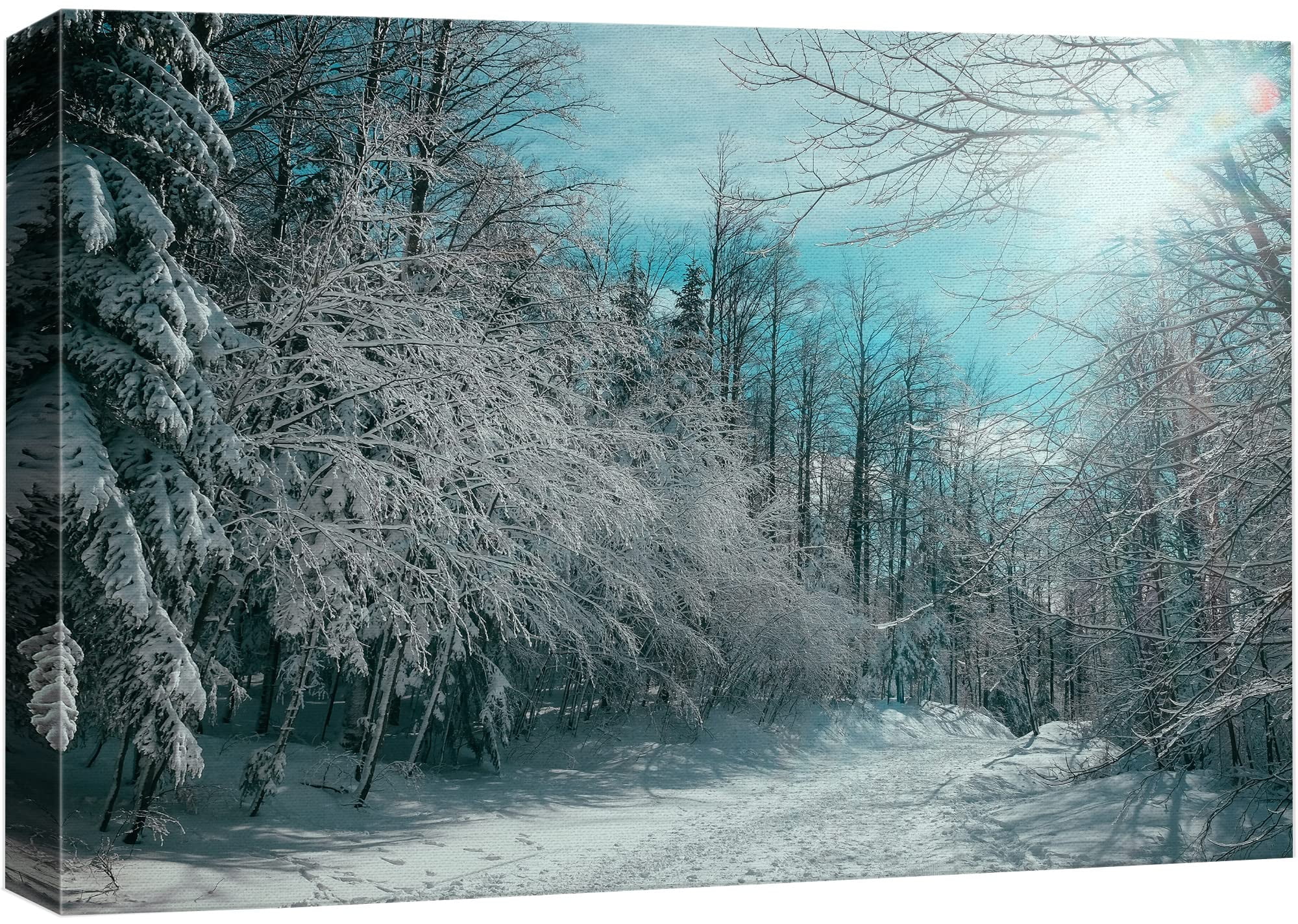 Snowy Pine Forest Landscape Canvas Print in Blue and White