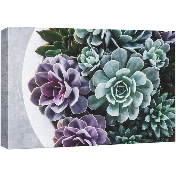 wall26 Canvas Print Wall Art Purple Green Pearl Echeveria Succulents Nature Floral Photography Realism Botanical Wilderness Zen Rustic Colorful Decor for Living Room, Bedroom, Office - 24x36
