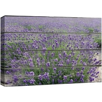 wall26 Canvas Print Wall Art Purple Lavender Field Nature Floral Wood Panels Photography Rustic Scenic Colorful Multicolor Cool Zen for Living Room, Bedroom, Office - 24"x36"