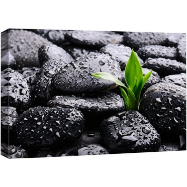 wall26 Canvas Print Wall Art Raindrops on Black Rocks with Sprouting Plant Floral Nature Photography Realism Bohemian Scenic Relax/Calm Cool for Living Room, Bedroom, Office - 24&quot;x36&quot;