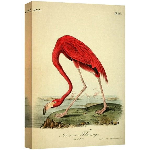 wall26 Canvas Print Wall Art Red Flamingo by John James Audubon Animals Birds Illustrations Modern Art Rustic Scenic Relax/Calm Multicolor Warm for Living Room, Bedroom, Office - 12"x18"