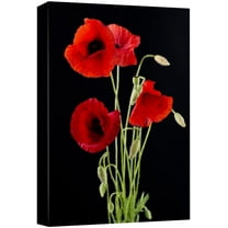 wall26 Canvas Print Wall Art Red Poppy Bouquet on Dark Background Floral Botanical Photography Modern Art Rustic Scenic Relax/Calm Multicolor Dark for Living Room, Bedroom, Office - 12"x18"