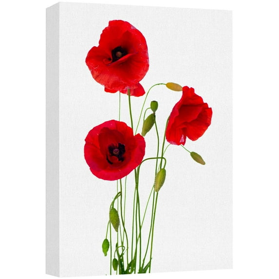 wall26 Canvas Print Wall Art Red Poppy Flowers on White Wood Panels Nature Wilderness Digital Art Realism Chic Colorful Multicolor Ultra for Living Room, Bedroom, Office - 24"x36"
