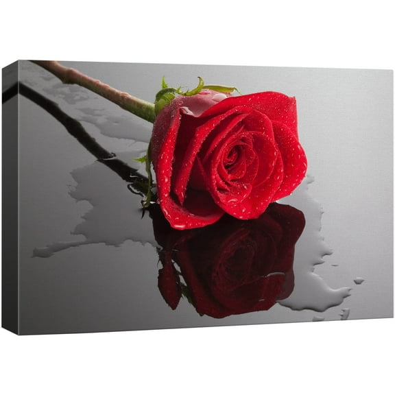 wall26 Canvas Print Wall Art Red Rose Close Up with Water Floral Botanical Photography Modern Art Rustic Scenic Relax/Calm Multicolor Dark for Living Room, Bedroom, Office - 12"x18"
