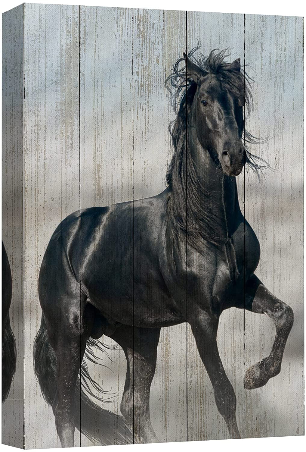 Black Beauty Horse Geometric Canvas Wall Art