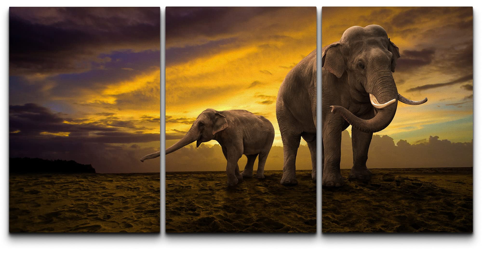 wall26 Canvas Print Wall Art Set African Elephants in Dark Sunset ...