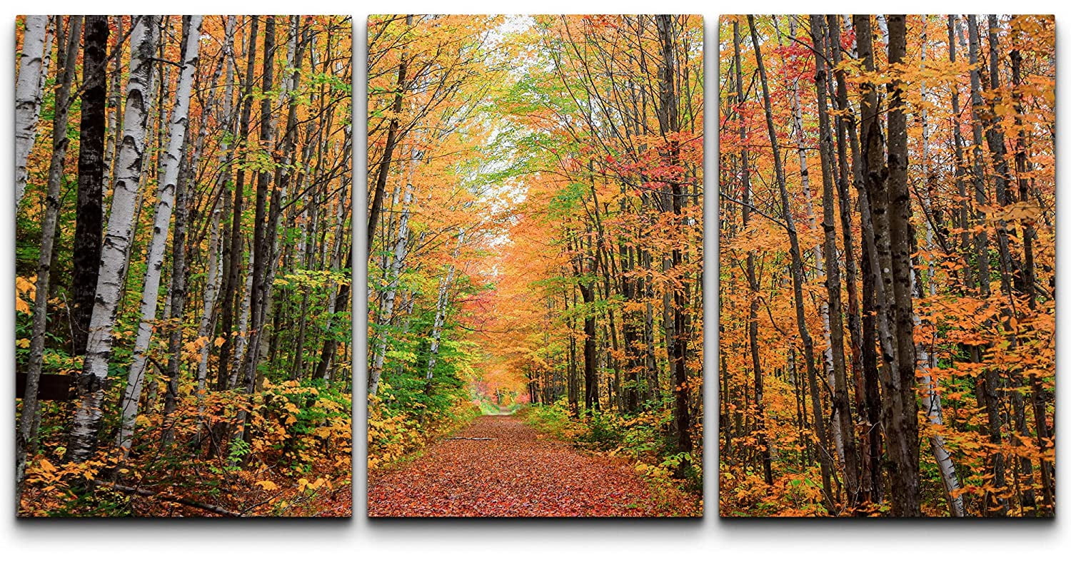 wall26 Canvas Print Wall Art Set Autumn Fall Orange Tree Leaf Forest ...