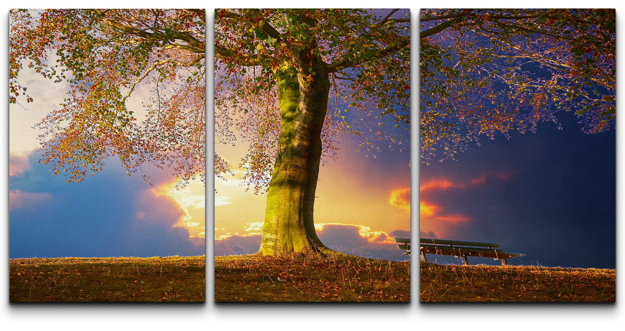 wall26 Canvas Print Wall Art Set Autumn Tree in Sunset Park Nature ...