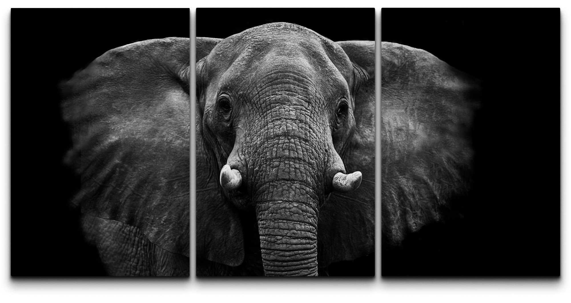 wall26 Canvas Print Wall Art Set Black and White Elephant Portrait ...