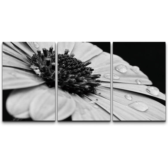 wall26 Canvas Print Wall Art Set Black & White Daisy with Dew Droplets Floral Botanical Photography Realism Rustic Scenic Dramatic Grayscale Dark for Living Room, Bedroom, Office - 16"x24&qu