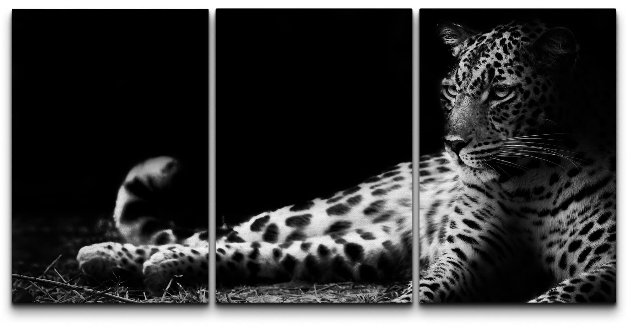 Black and White Leopard Canvas Print Set