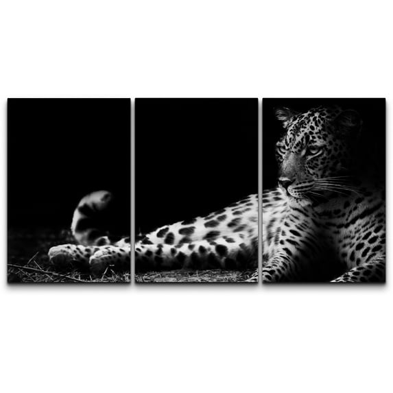 wall26 Canvas Print Wall Art Set Black & White Leopard Portrait Animals Wildlife Photography Realism Rustic Scenic Relax/Calm Nature Wilderness for Living Room, Bedroom, Office - 16"x24"