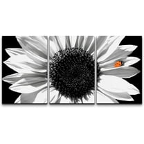 wall26 Canvas Print Wall Art Set Black & White Sunflower with Red Ladybug Floral Botanical Photography Modern Art Rustic Scenic Colorful Ultra for Living Room, Bedroom, Office - 24"x36"