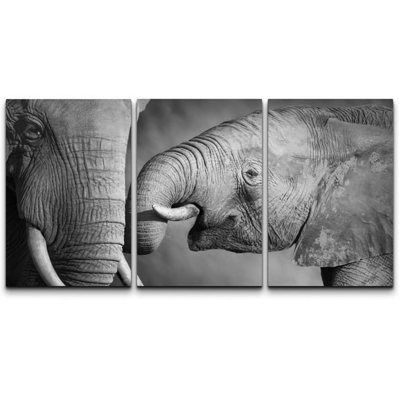 wall26 Canvas Print Wall Art Set Black & White Young and Old Elephant Duo Animals Wildlife Photography Modern Art Rustic Scenic Nature Chic Colorful for Living Room, Bedroom, Office - 16"x24