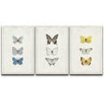 thumbnail image 1 of wall26 Canvas Print Wall Art Set Blue, Black &amp; Yellow Butterfly Collection Insects Wilderness Watercolor Realism Rustic Colorful Multicolor Ultra for Living Room, Bedroom, Office - 16"x24&qu, 1 of 5