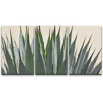 wall26 Canvas Print Wall Art Set Close Up of Spiked Southwestern Cactus Succulent Nature Wilderness Photography Realism Rustic Scenic Colorful Multicolor for Living Room, Bedroom, Office - 16"x2