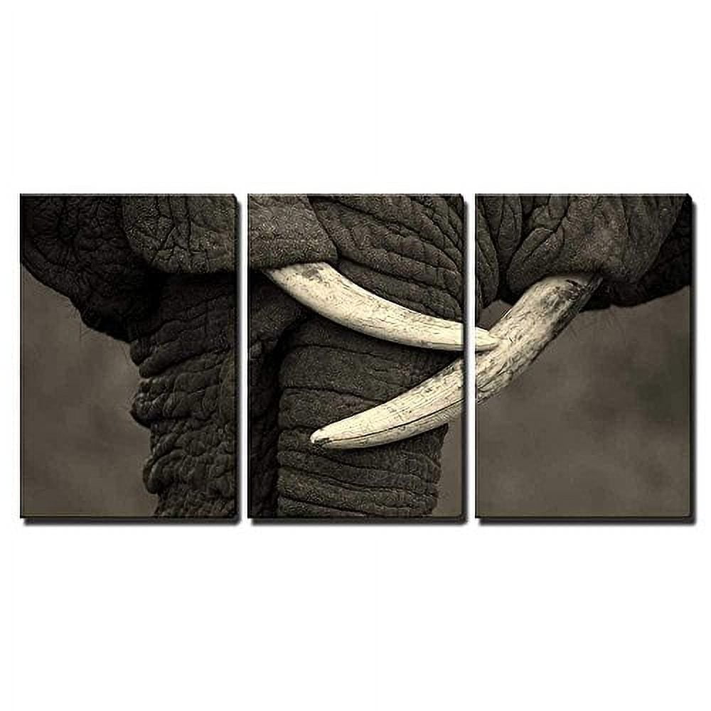 wall26 Canvas Print Wall Art Set Close Up of Two Elephants with Tusks