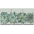 thumbnail image 1 of wall26 Canvas Print Wall Art Set Desert Succulent Variety Closeup Floral Plants Photography Realism Southwest Group Colorful Multicolor Cool for Living Room, Bedroom, Office - 16"x24"x3, 1 of 7