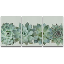 wall26 Canvas Print Wall Art Set Desert Succulent Variety Closeup Floral Plants Photography Realism Southwest Group Colorful Multicolor Cool for Living Room, Bedroom, Office - 16"x24"x3