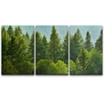 thumbnail image 1 of wall26 Canvas Print Wall Art Set Forest Pine Trees &amp; Foliage Nature Wilderness Photography Realism Rustic Scenic Relax/Calm Multicolor for Living Room, Bedroom, Office - 16"x24"x3 Panel, 1 of 5