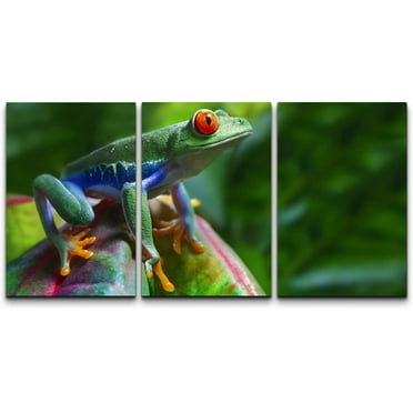 wall26 Canvas Print Wall Art Set Red-Eyed Rainbow Tropical Tree Frog in Jungle Nature Wilderness Photography Realism Rustic Scenic Colorful Travel for Living Room, Bedroom, Office - 16&quot;x24&quot;