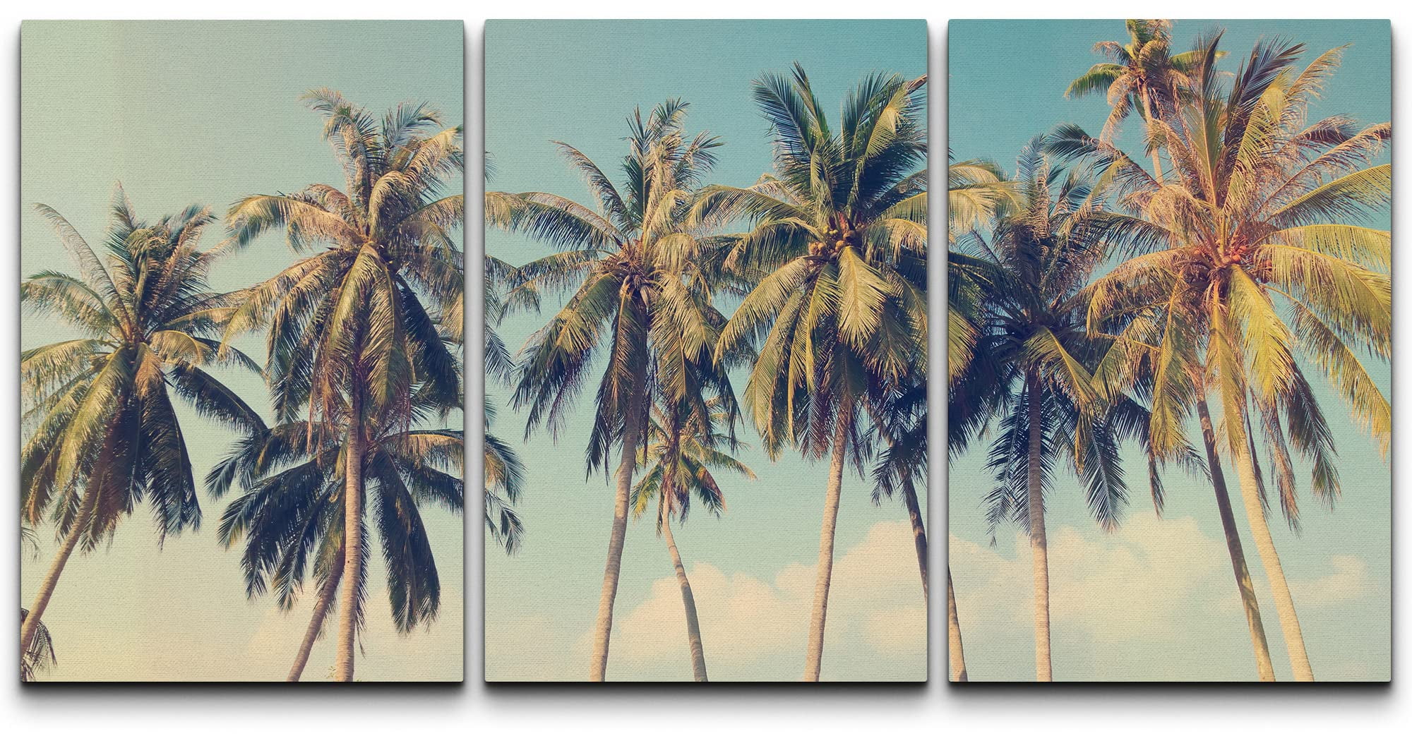 Vintage Coastal Palm Trees Canvas Print Set in Black Frames