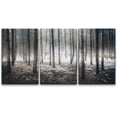 thumbnail image 1 of wall26 Canvas Print Wall Art Set Spooky Misty Winter Snow &amp; Tree Forest Nature Wilderness Photography Realism Rustic Scenic Colorful Multicolor for Living Room, Bedroom, Office - 16"x24&quot, 1 of 5