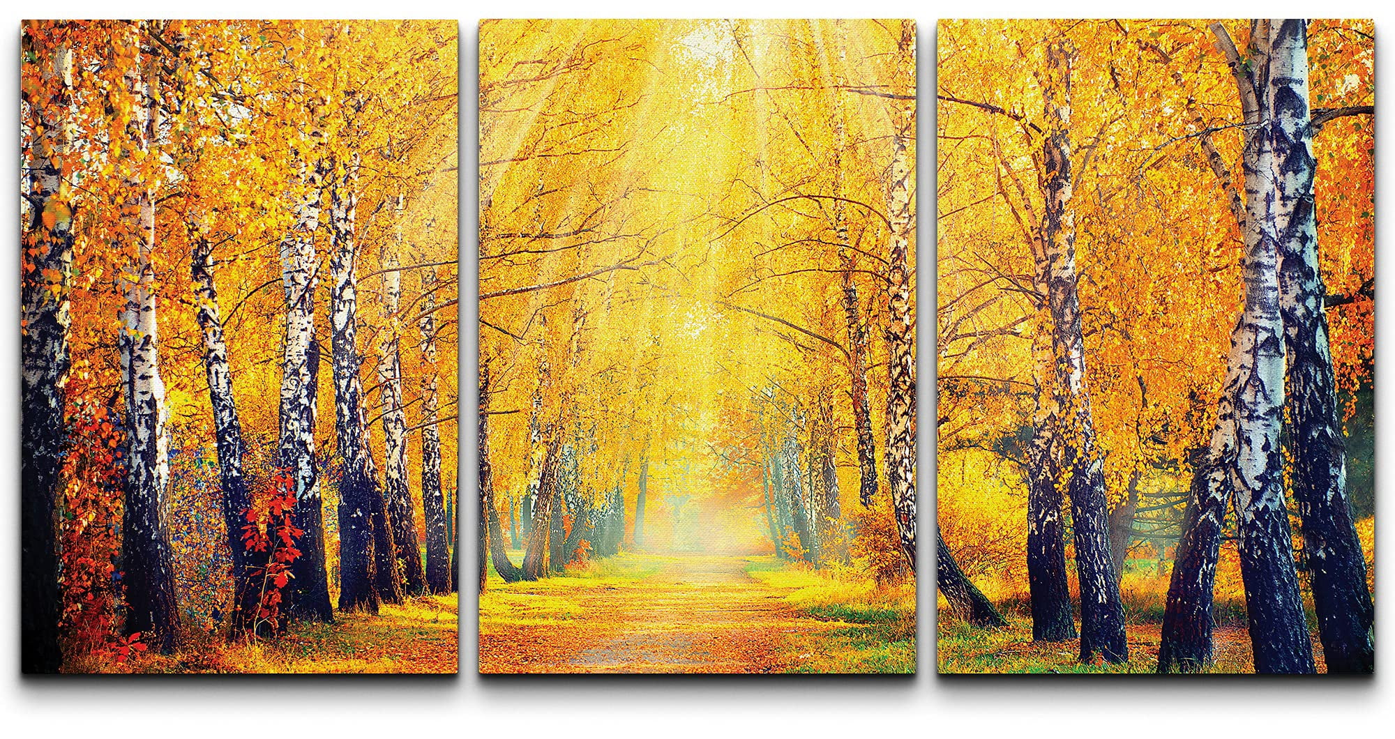 wall26 Canvas Print Wall Art Set Sunlight Through Golden Forest Trees ...
