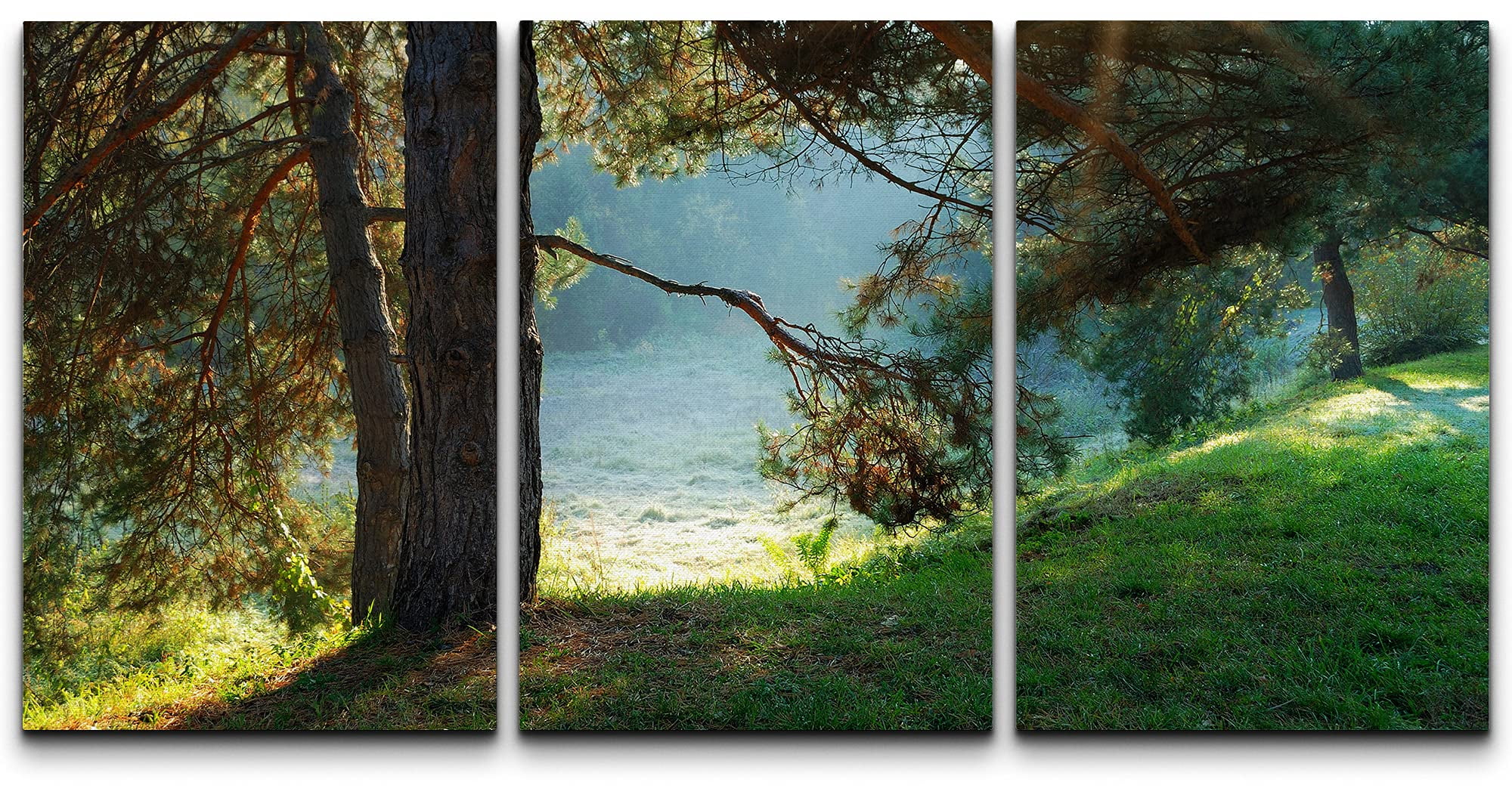 wall26 Canvas Print Wall Art Set Sunlight Rays Through Green Forest ...