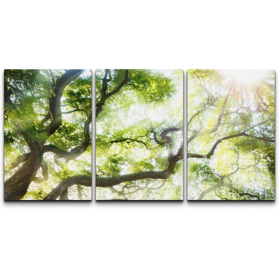 wall26 Canvas Print Wall Art Set Sunlight Shines Over Green Tree Canopy Nature Wilderness Photography Realism Rustic Scenic Colorful Multicolor for Living Room, Bedroom, Office - 24"x36"x3