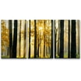 thumbnail image 1 of wall26 Canvas Print Wall Art Set Sunlight Through The Forest Trees Nature Wilderness Photography Realism Contemporary Colorful Multicolor Ultra for Living Room, Bedroom, Office - 24"x36"x3, 1 of 5