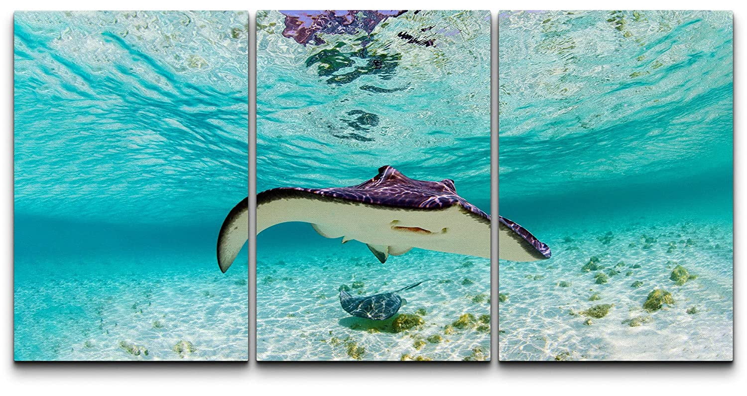 wall26 Canvas Print Wall Art Set Tropical Island Ocean Underwater
