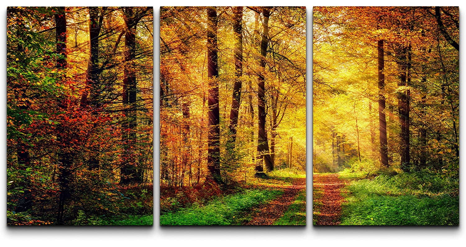 wall26 Canvas Print Wall Art Set Vibrant Autumn Fall Sunlight Forest ...