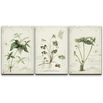 wall26 Canvas Print Wall Art Set Victorian Style Jungle Plants with Butterfly Nature Floral Illustrations Realism Rustic Scenic Colorful Wilderness for Living Room, Bedroom, Office - 16"x24&quot