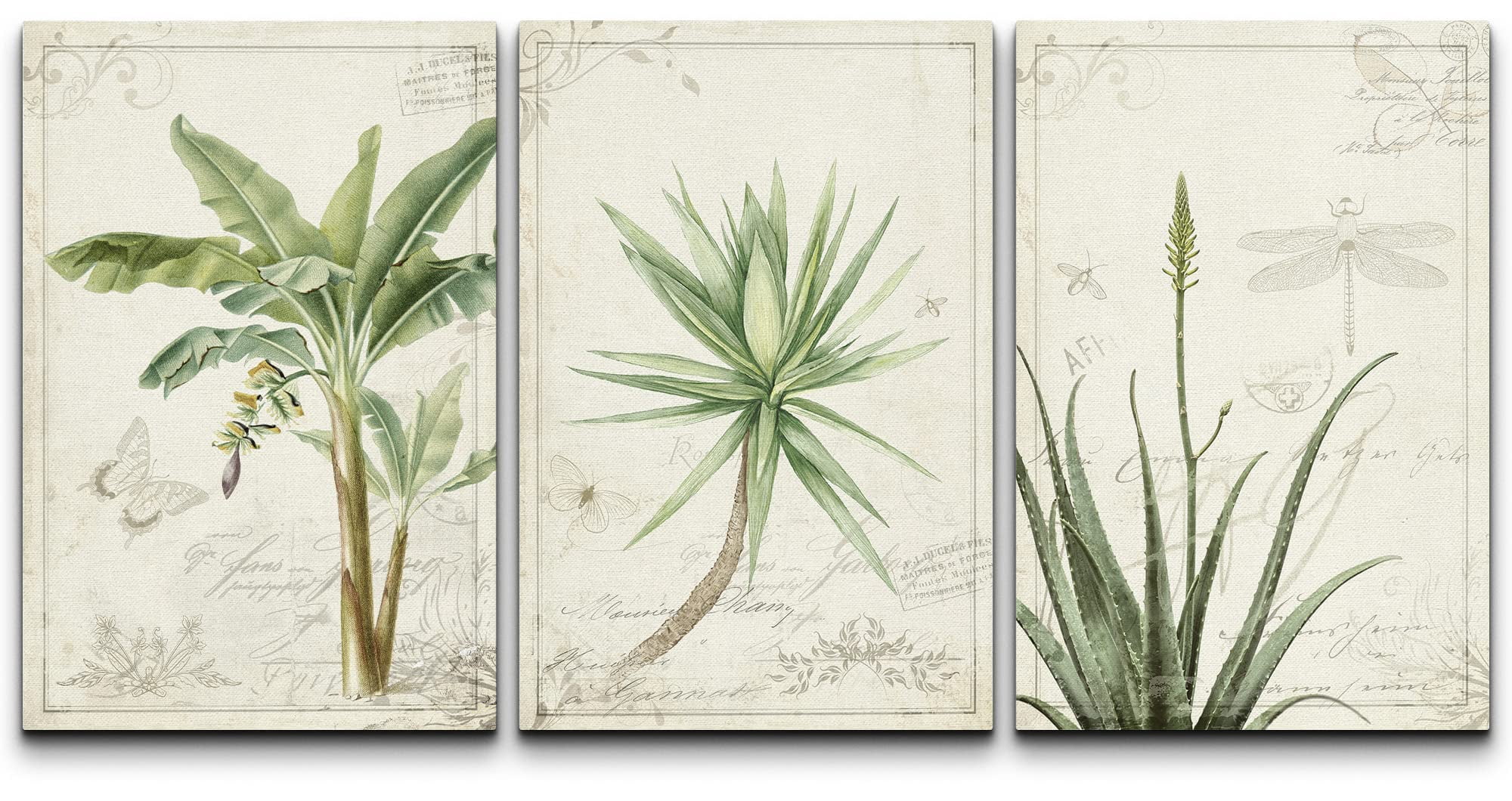 wall26 Canvas Print Wall Art Set Victorian Style Tropical Plants ...