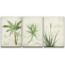 wall26 Canvas Print Wall Art Set Victorian Style Tropical Plants & Insects Nature Floral Illustrations Realism Rustic Scenic Colorful Wilderness for Living Room, Bedroom, Office - 16"x24&quo