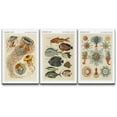 thumbnail image 1 of wall26 Canvas Print Wall Art Set Vintage Retro Jellyfish Coral Reef Posters Nature Animals Illustrations Realism Rustic Landscape Colorful for Living Room, Bedroom, Office - 16"x24" x 3, 1 of 5
