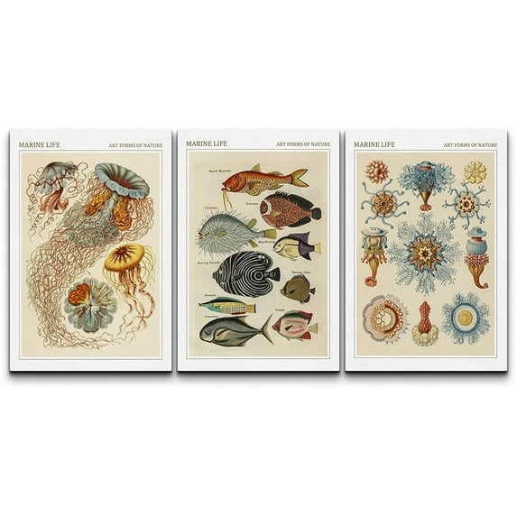 wall26 Canvas Print Wall Art Set Vintage Retro Jellyfish Coral Reef Posters Nature Animals Illustrations Realism Rustic Landscape Colorful for Living Room, Bedroom, Office - 16"x24" x 3