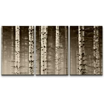wall26 Canvas Print Wall Art Set White Birch Trees in Misty Forest Nature Wilderness Photography Realism Contemporary Colorful Multicolor Ultra for Living Room, Bedroom, Office - 24"x36"x3