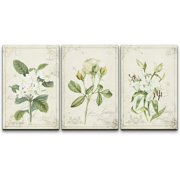 wall26 Canvas Print Wall Art Set White Rose &amp; Lily Vintage Victorian Flowers Nature Floral Illustrations Realism Rustic Scenic Colorful Wilderness for Living Room, Bedroom, Office - 16"x24&q