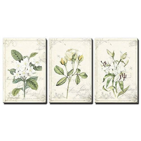 wall26 Canvas Print Wall Art Set White Rose &amp; Lily Vintage Victorian Flowers Nature Floral Illustrations Realism Rustic Scenic Colorful Wilderness for Living Room, Bedroom, Office - 24"x36&q