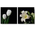 thumbnail image 1 of wall26 Canvas Print Wall Art Set White Tulip &amp; Calla Lily Close Up Duo Floral Botanical Photography Modern Art Rustic Zen Relax/Calm Multicolor Ultra for Living Room, Bedroom, Office - 24"x2, 1 of 5