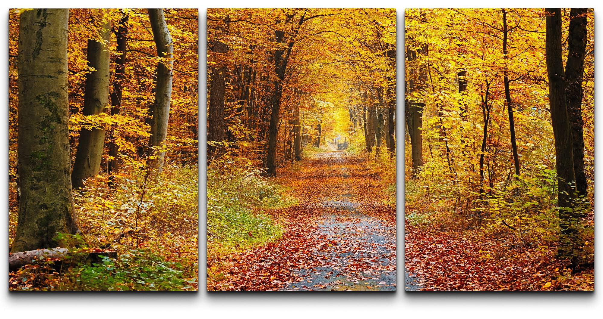 wall26 Canvas Print Wall Art Set Yellow & Red Autumn Forest Path Nature ...